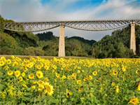 Foto für Zeilbrücke